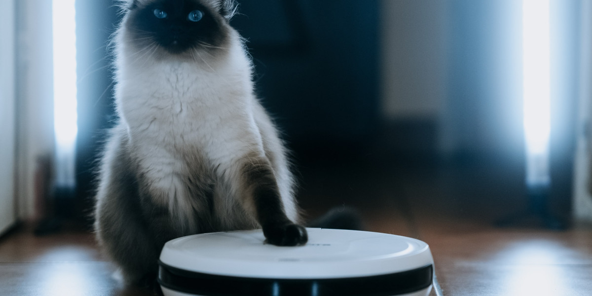 15 Best Robot Vacuum Cleaner Best Bloggers You Should Follow